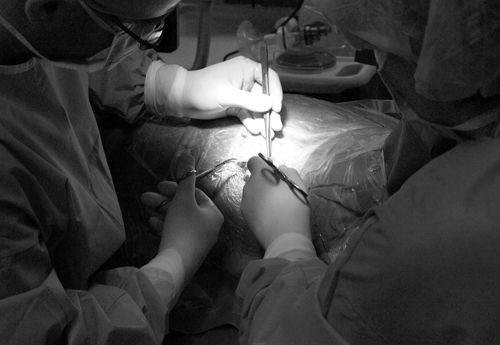 Dottor Giancarlo Liguori - Chirurgo Plastico a Torino - Chirurgia Plastica